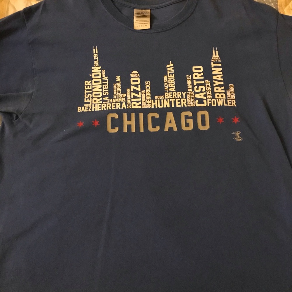 Womens large Chicago cubs shirt
